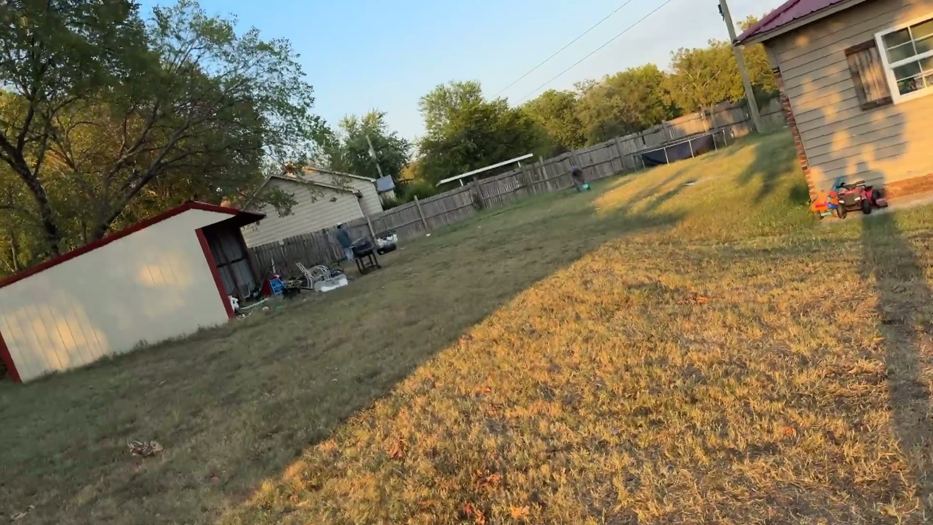 Freshly mowed backyard